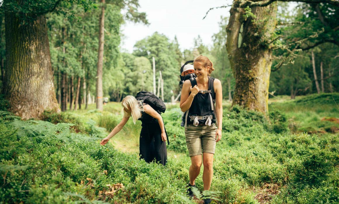 vandring djurö vänern