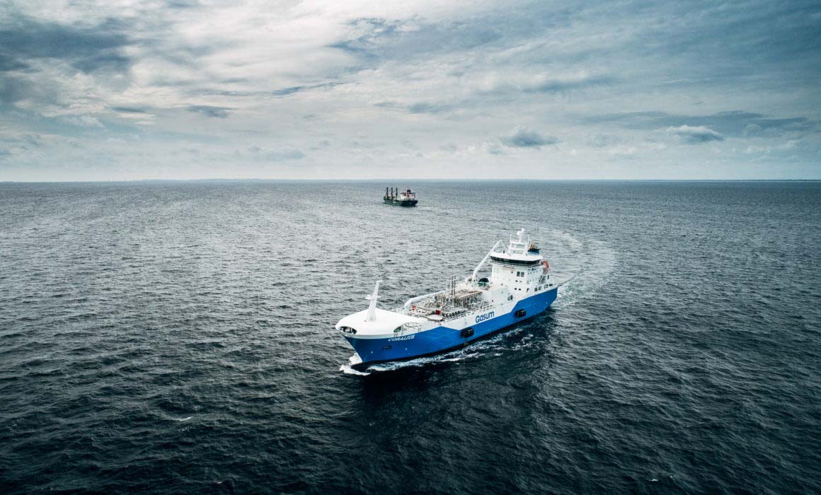 André Nordblom coralius